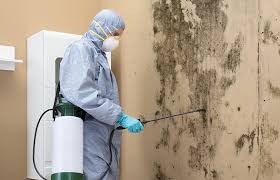 Professional Mold Inspection in Prairie Heights, WA